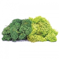 Hornby Lichen - Large Green Mix - 69-R7195