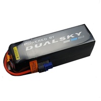 Dualsky 4350mah 6S HED Lipo Battery, 50C - DSB31834