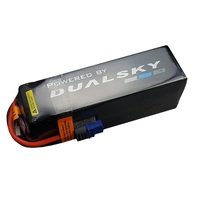 Dualsky 5050mah 6S HED Lipo Battery, 50C - DSB31839