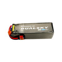 Dualsky Ultra 70 LiPo Battery, 5600mAh 6S 70c - DSBXP56006ULT