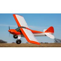 E-Flite Carbon-Z Cub SS RC Plane, BNF Basic - EFL12450
