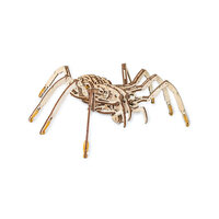 Eco Wood Art Spider Wooden Model