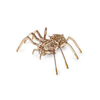 Mechanical Spider on rubber-band engine with moving legs - EWA-SPIDER