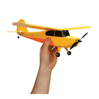 Hobbyzone Champ Beginner RC Plane, RTF Mode 2 - HBZ4900