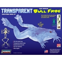 Lindberg  Transparent Bull Frog (11" Long) Plastic Model Kit