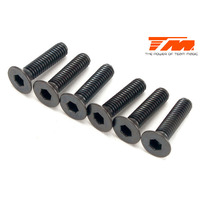 3.5x14mm Steel FH Screw (6) - TM123514