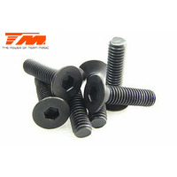 3x12mm Steel F.H. Screw (6) - TM126312