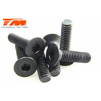3x14mm Steel FH Screw (6) - TM126314