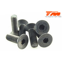 4x12mm Steel F.H. Screw (6) - TM126412
