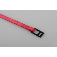 Red Tie Down Strap with Metal Latch